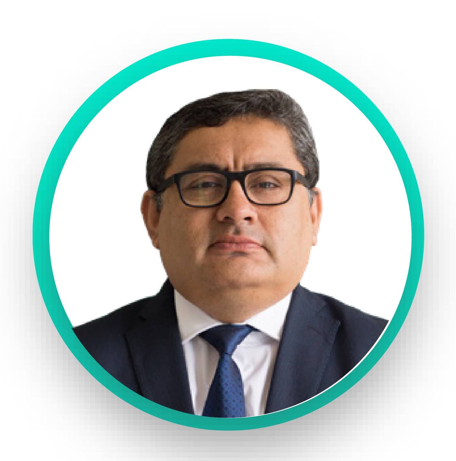 Descripción de la imagen